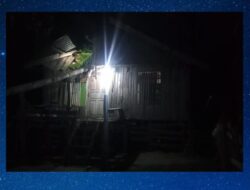 Pohon Kelapa Tumbang Timpah Rumah Warga di Desa Kombikuno Muna Barat