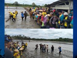 Sinergi Pemkab Mubar & pemerintah Pusat Terkait Swasembada Beras, Ini langkah La Ode Darwin