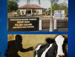 Kasus Dugaan Pencurian Sapi Di Tangkumaho Mubar, Pelapor Soroti Kinerja Polsek Kusambi
