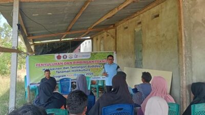 Kolaborasi UNSULTRA dan UHO Mendorong Swasembada Pangan dengan Melakukan Dukungan Pada Peningkatan Produktivitas Petani Hortikultura di Kolaka Timur