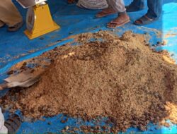 UNSULTRA Mendorong Pendapatan Petani-Peternak di Kolaka Timur dengan Pelatihan Peningkatan Nilai Ekonomi Hasil Produksi